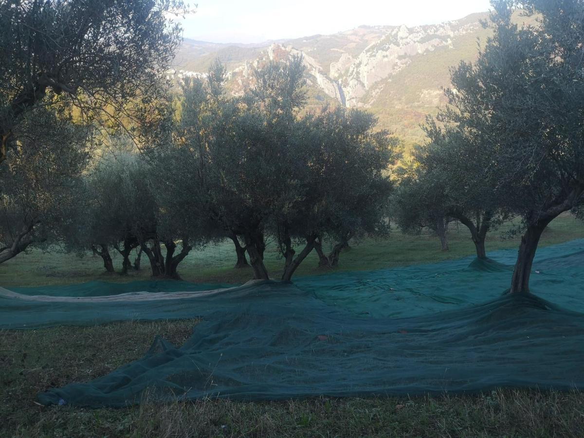 Agriturismo Olimpo Villa Santa Maria  ภายนอก รูปภาพ