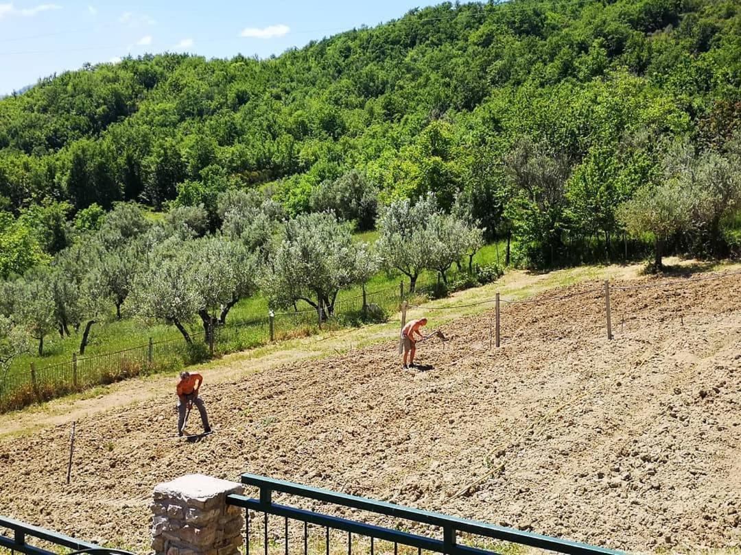 Agriturismo Olimpo Villa Santa Maria  ภายนอก รูปภาพ